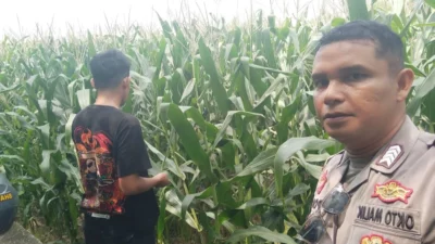 Bhabinkamtibmas Turun ke Sawah, Petani Lombok Barat Kian Semangat