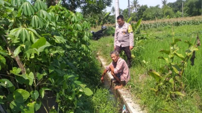 Petani Jagaraga Didorong Polri Tanam Padi dan Jagung untuk Pangan Lokal
