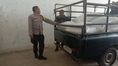 Polisi Turun ke Ladang, Pastikan Jagung Petani Lembar Terserap BULOG