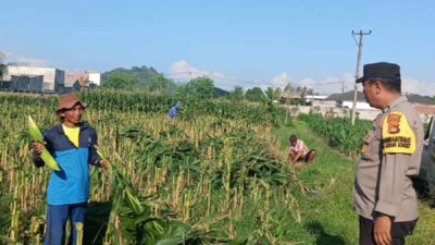 Polri Dukung Ketahanan Pangan, Bhabinkamtibmas Labuapi Edukasi Warga Manfaatkan Lahan Kosong