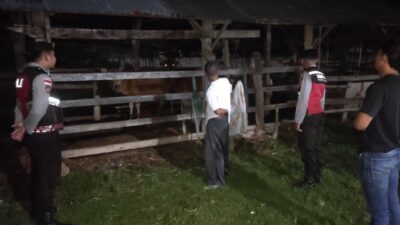 Apresiasi Warga Mengalir, Polisi Hadir di Tengah Sunyi Dini Hari Amankan Hewan Ternak