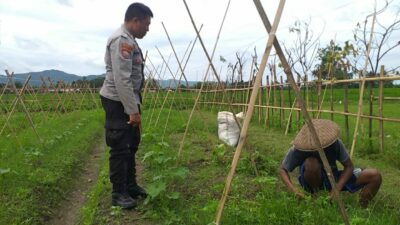 Sinergi Polri dan Petani Jagaraga Wujudkan Kemandirian Pangan